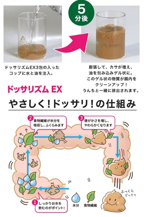 ドッサリズムEX 便秘薬 60包(15包✕4)非刺激性 │食物繊維90%以上&漢方生薬タイソウ末配合 携帯に便利な個包装 【指定医薬部外品】