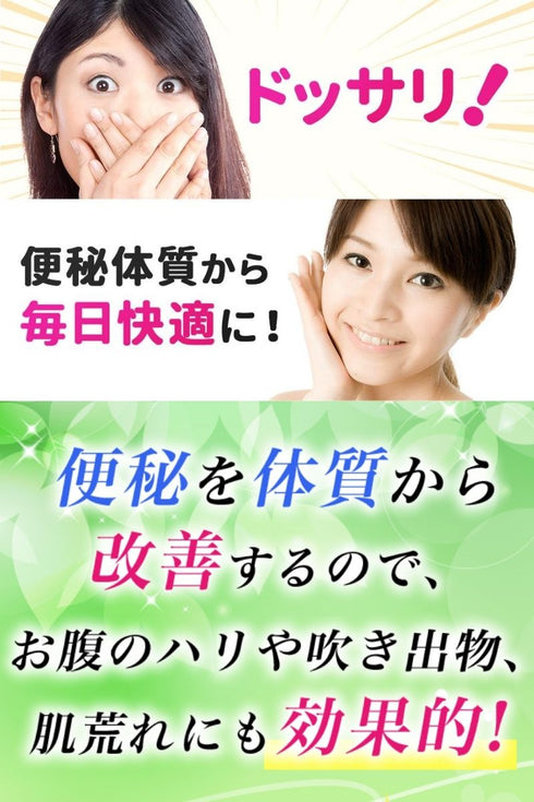 ドッサリズムEX 便秘薬 60包(15包✕4)非刺激性 │食物繊維90%以上&漢方生薬タイソウ末配合 携帯に便利な個包装 【指定医薬部外品】