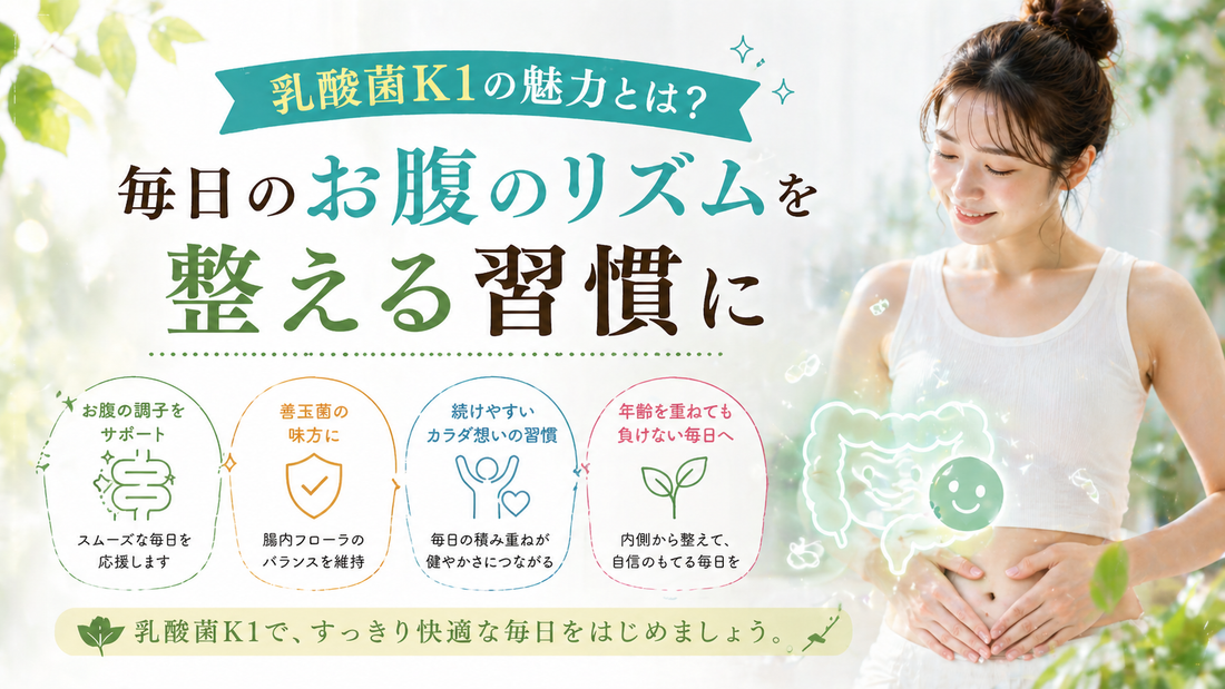 乳酸菌K1の魅力とは？毎日のお腹のリズムを整える習慣に