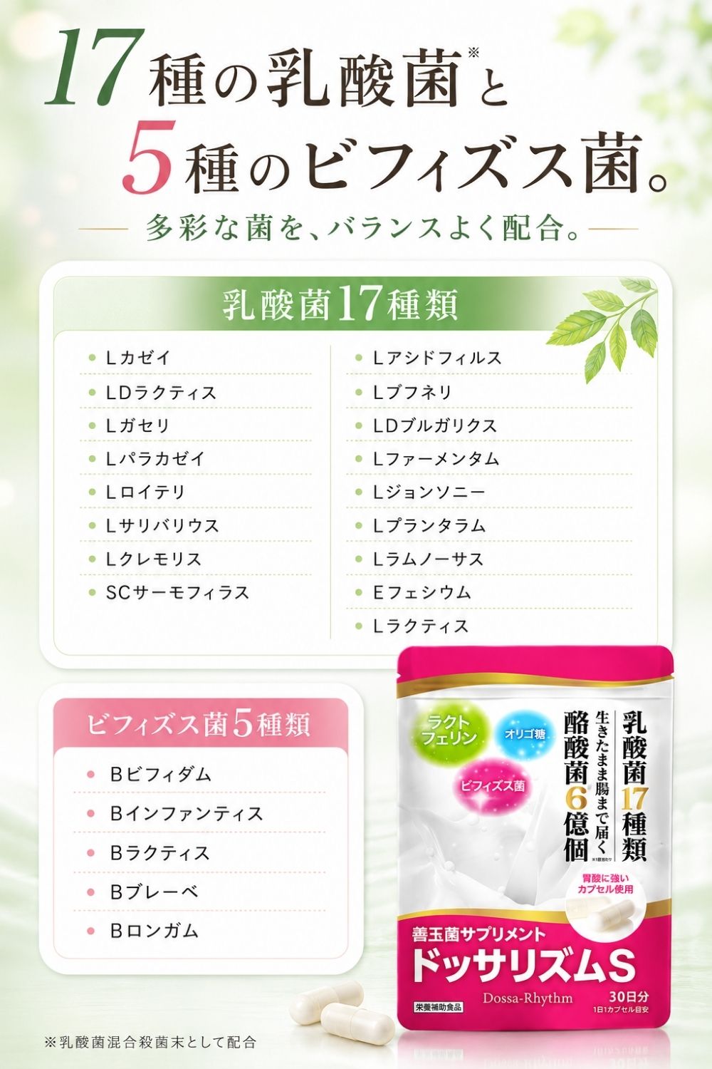 腸活 サプリメント 酪酸菌 乳酸菌 ラクトフェリン配合 腸内環境 毎日の習慣に ドッサリズムS