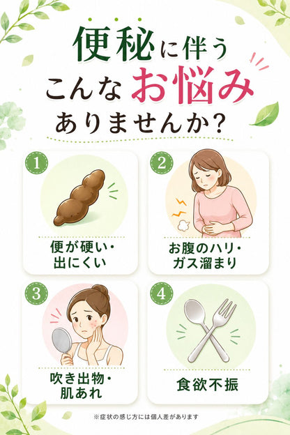 便秘薬 非刺激性 食物繊維90%以上 漢方配合 60包 個包装 指定医薬部外品 ドッサリズムEX