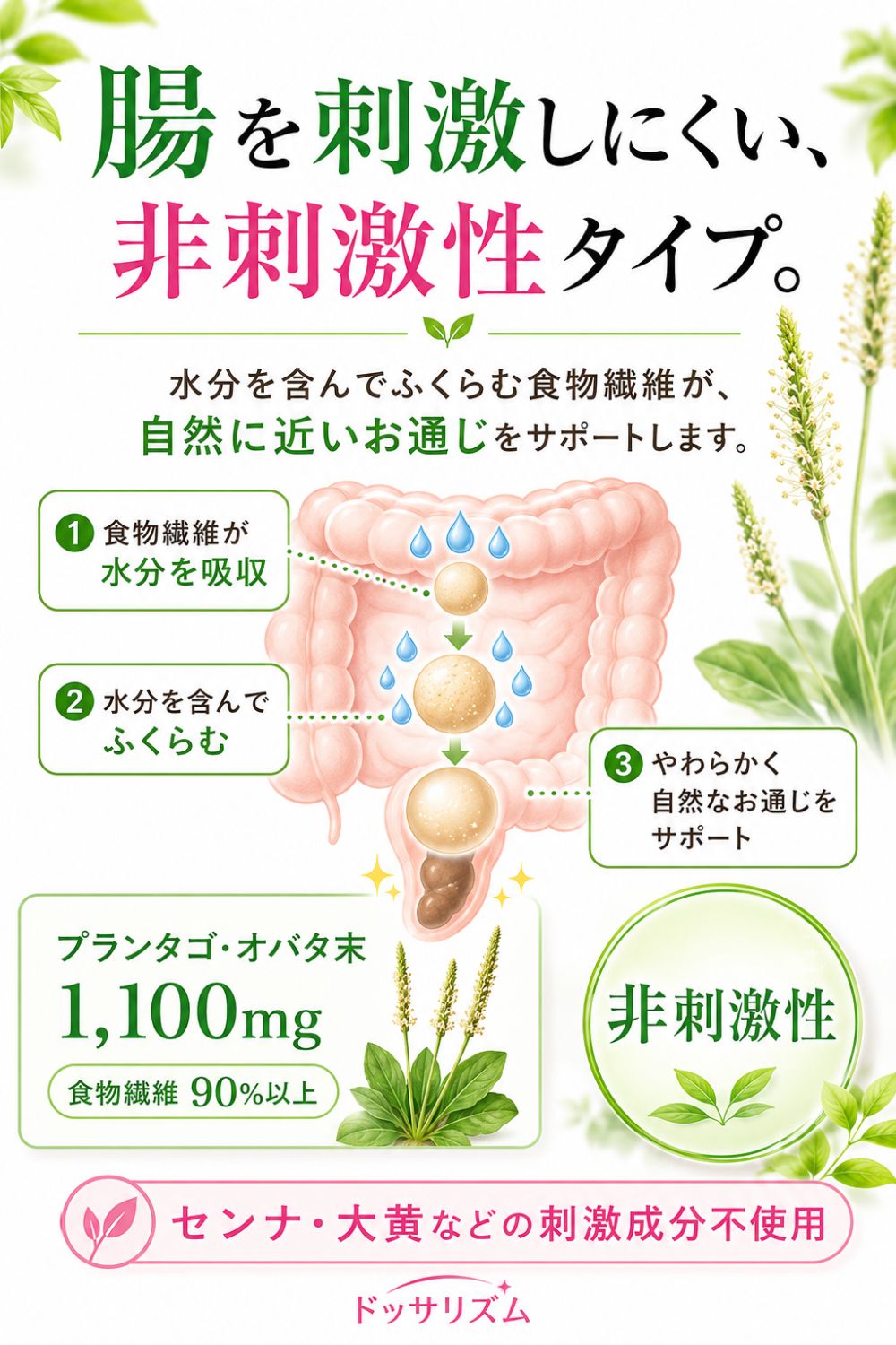 便秘薬 非刺激性 食物繊維90%以上 漢方配合 60包 個包装 指定医薬部外品 ドッサリズムEX