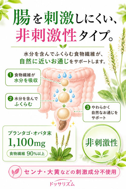 便秘薬 非刺激性 食物繊維90%以上 漢方配合 60包 個包装 指定医薬部外品 ドッサリズムEX