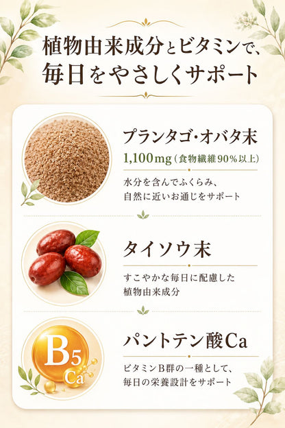 便秘薬 非刺激性 食物繊維90%以上 漢方配合 60包 個包装 指定医薬部外品 ドッサリズムEX